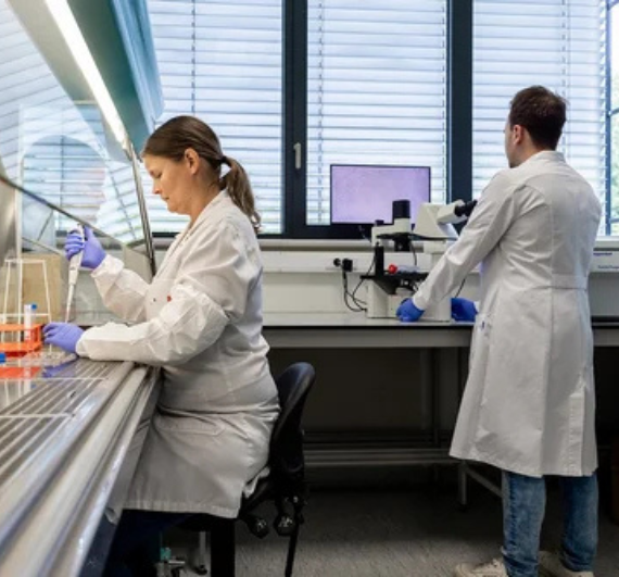 Untitled design (25)