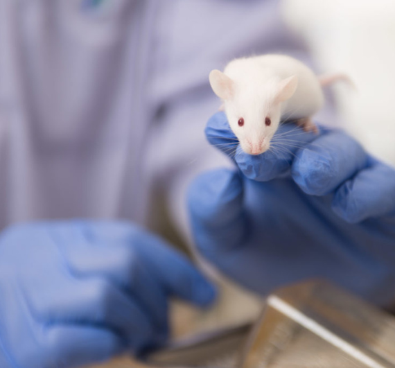 Untitled design (99)